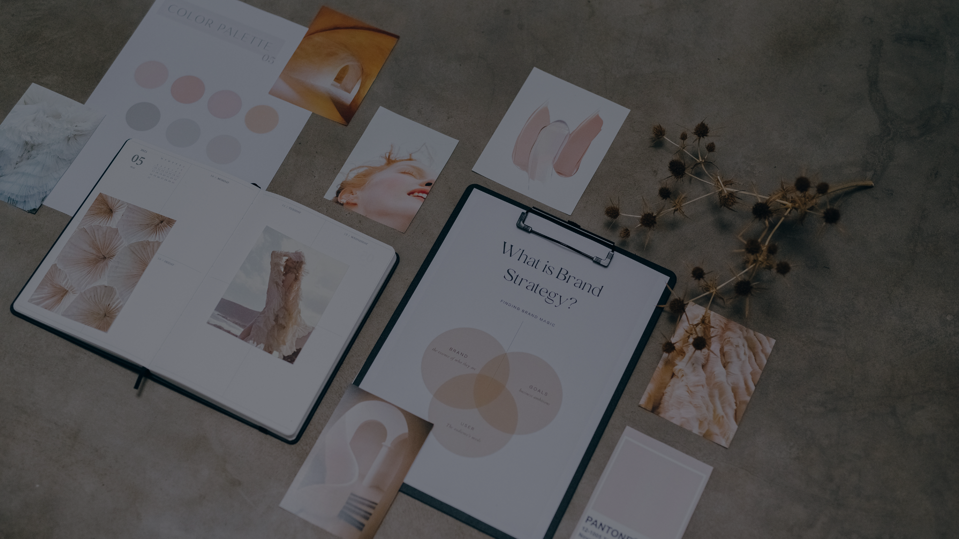 Diagnostique & construction de votre identité de marque